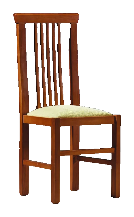 Modelo Nº 5